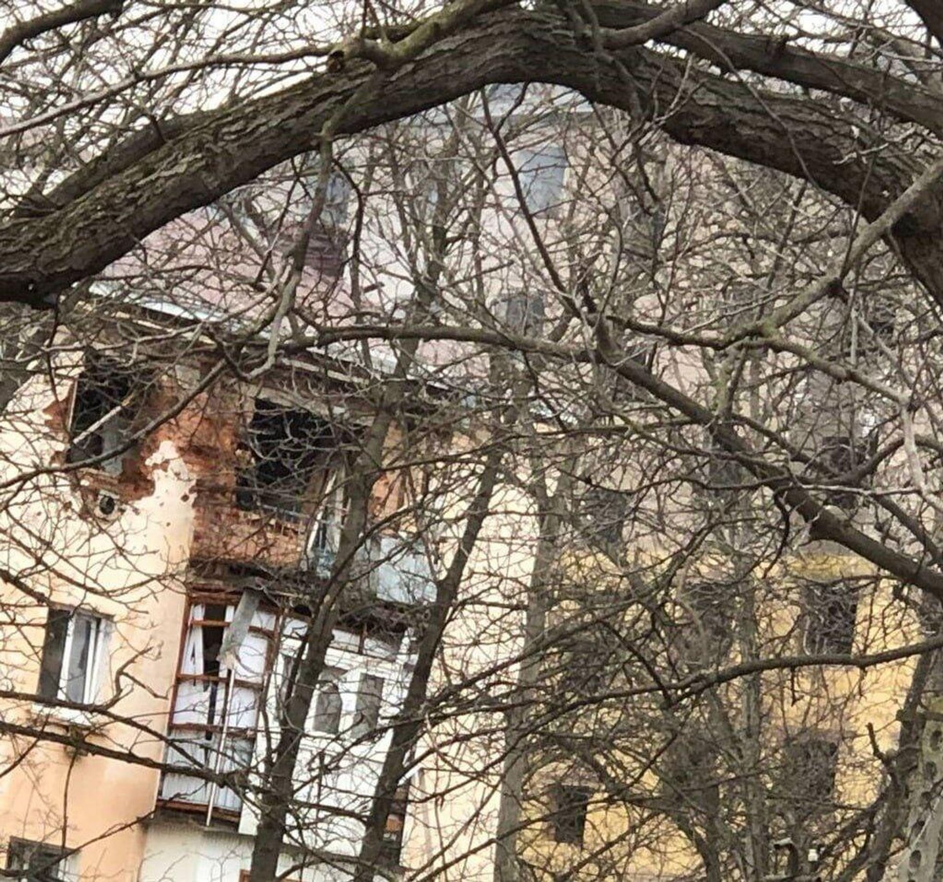 Силовики на месте контртеррористической операции в центре Карабулака (3 марта 2024). Ингушетия - Sputnik Արմենիա, 1920, 03.03.2024