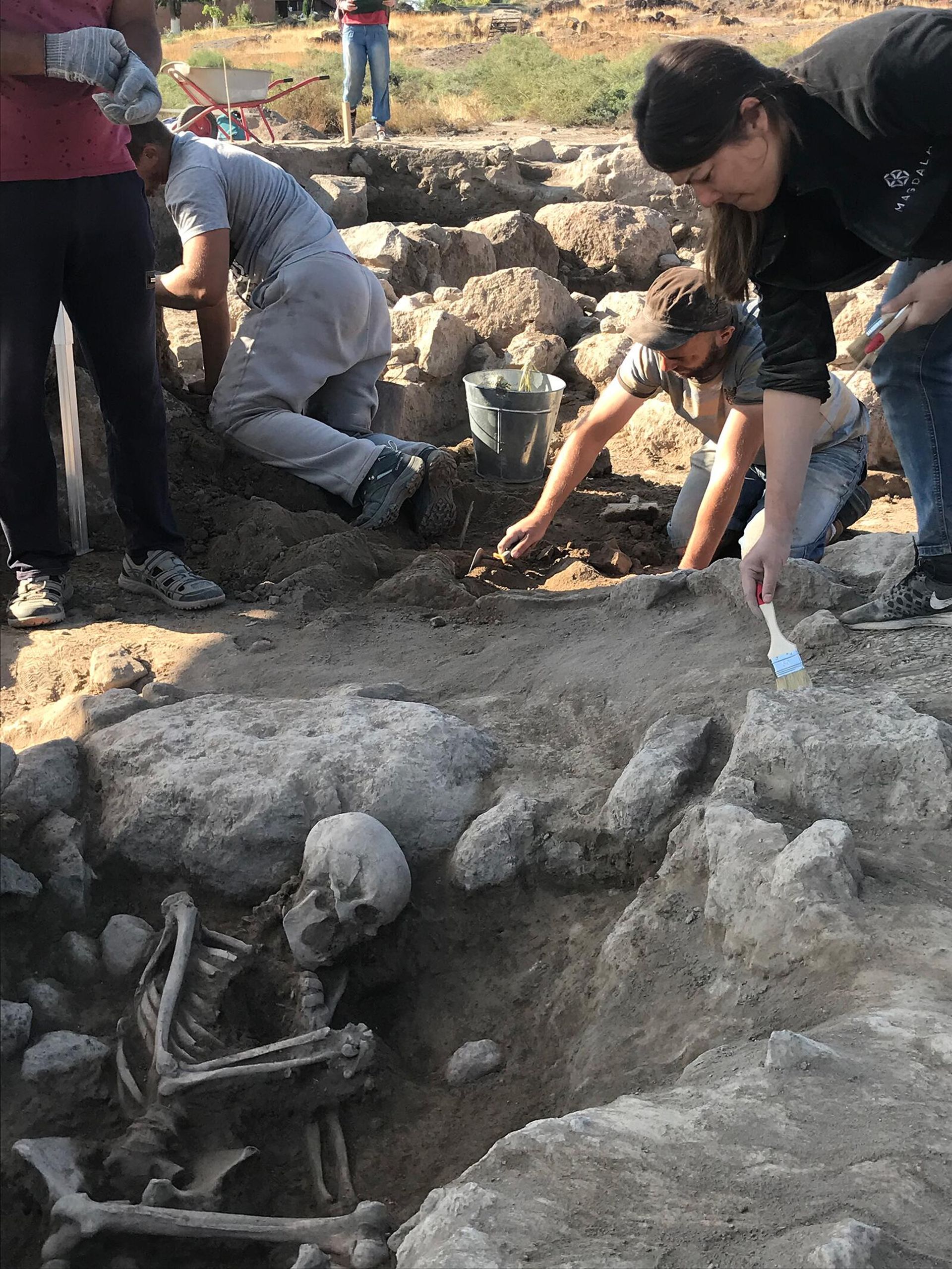 Во время раскопок археологи обнаружили антропологические материалы Во время раскопок археологи обнаружили антропологические материалы - Sputnik Արմենիա, 1920, 07.03.2024