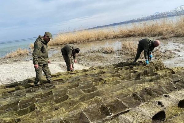 Սևանա լճից էկոպարեկները շուրջ 120 խեցգետնաորսիչ են դուրս բերել - Sputnik Արմենիա