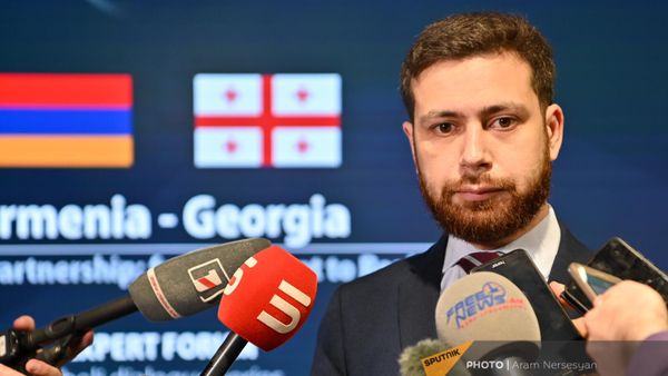 Замминистра иностранных дел Ваан Костанян на экспертной конференции “Стратегическое партнерство Армения-Грузия: от концепции к реальности” (11 апреля 2024). Еревaн - Sputnik Армения