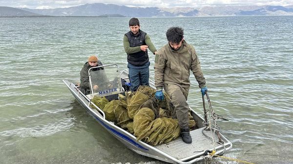 Сотрудники экопатрульной службы национального парка Севан конфисковали 303 незаконно установленных ловушки для раков (15 апреля 2024). Севан - Sputnik Армения