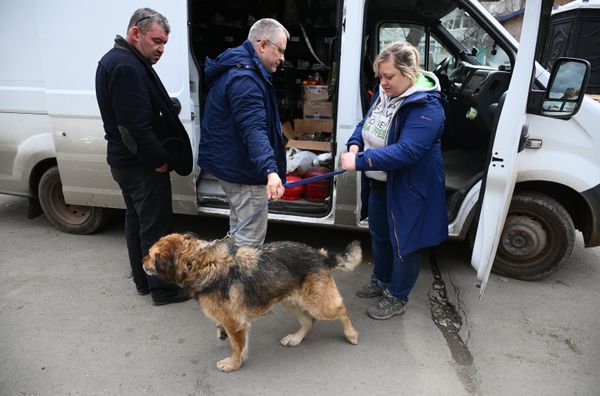 Волонтеры из донецкой организации "Кошкин дом" помогают в размещении, поиске, спасении и раздаче животных, найденных во время наводнения - Sputnik Армения
