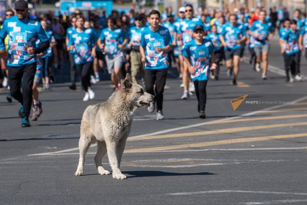 В Ереване прошел международный полумарафон ONE RUN - Sputnik Армения