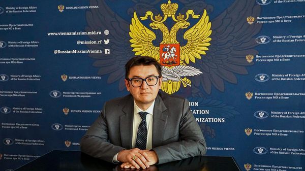 Заместитель постоянного представителя РФ при международных организациях в Вене Роман Устинов - Sputnik Армения