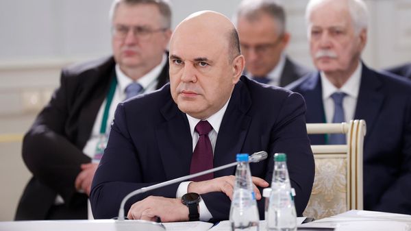 Председатель правительства РФ Михаил Мишустин на заседании Евразийского межправительственного совета в расширенном составе (4 июня 2024). Несвиж - Sputnik Армения