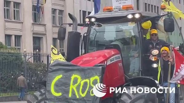 Протест фермеров в Брюсселе за два дня до начала выборов в Европарламент - Sputnik Армения