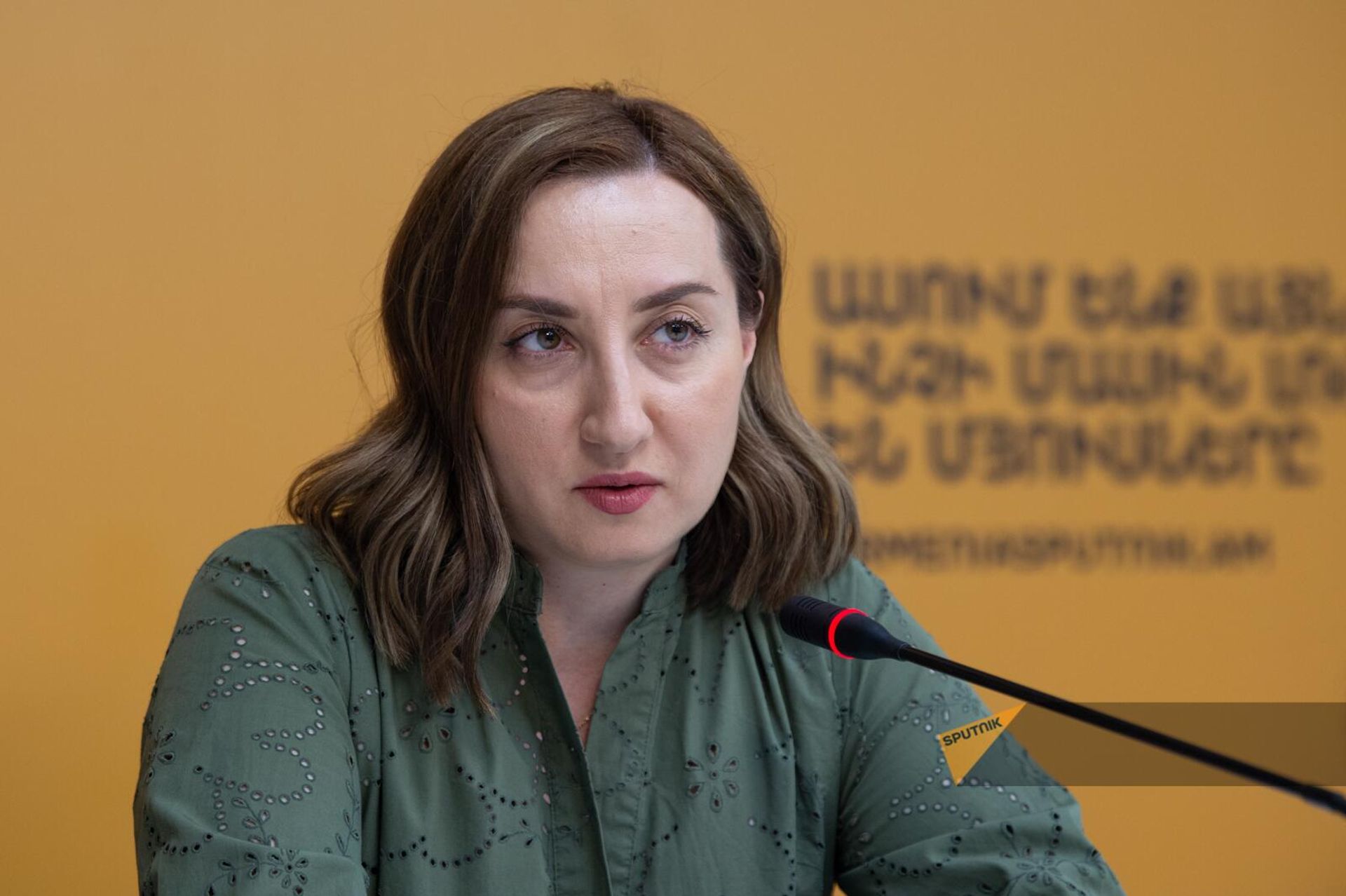 Марина Мкртчян на пресс-конференции, посвященной выставке Москва-Ереван-Москва в Третьяковской галерее (7 июня 2024). Еревaн - Sputnik Армения, 1920, 07.06.2024