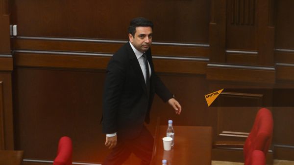 Ален Симонян перед заседанием НС (11 июня 2024). Еревaн - Sputnik Արմենիա