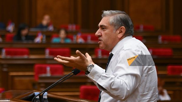 Артур Хачатрян выступает на заседании НС (11 июня 2024). Еревaн - Sputnik Армения
