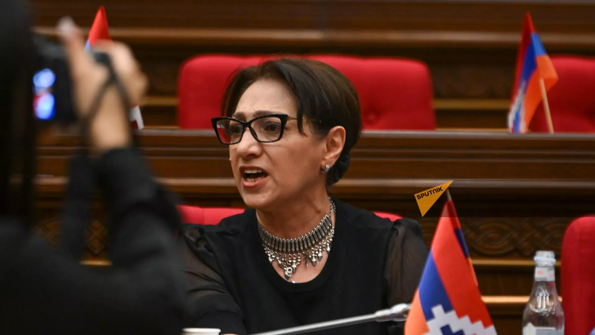 Lilit Qalstyan Milli Məclisin iclasında (11 iyun 2024). Yerevan - Sputnik Ermənistan, 1920, 1 iyul 2025