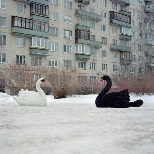 Фотография Анны Плюсниной (Россия) "Посмотреть в глаза человеку" Фотография Анны Плюсниной (Россия) "Посмотреть в глаза человеку" - Sputnik Армения