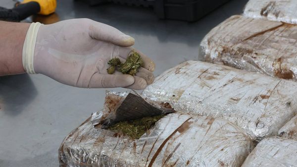 Таможенная служба Грузии обнаружила 13 кг марихуаны в машине, следующей из Армении в Грузию - Sputnik Армения