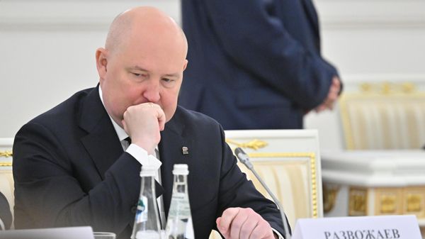 Губернатор Севастополя Михаил Развожаев - Sputnik Армения