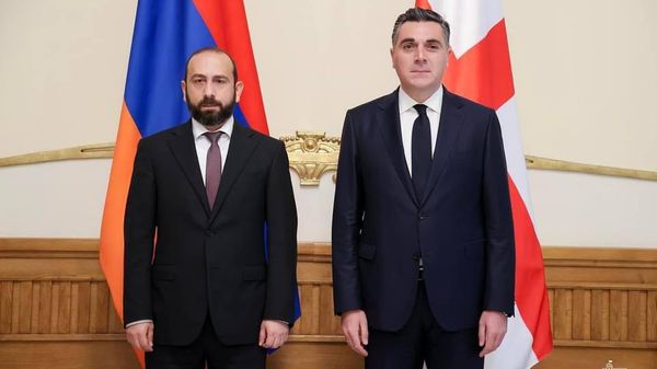 Արարատ Միրզոյանն ու Իյա Դարչիաշվիլին - Sputnik Արմենիա