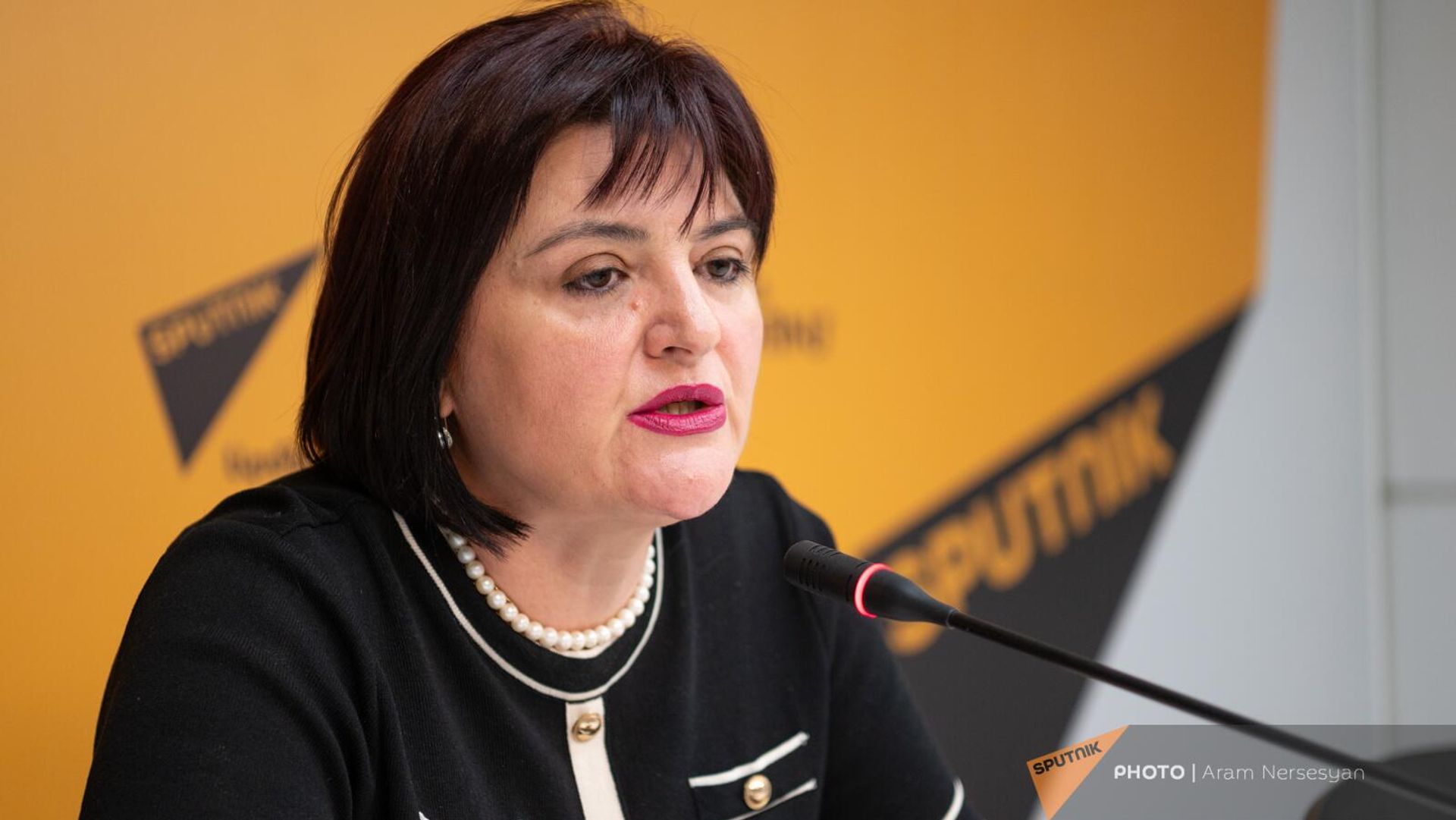 Քրիստինա Վարդանյան Քրիստինա Վարդանյան - Sputnik Արմենիա, 1920, 31.07.2024