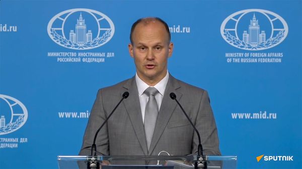 Заместитель Департамента информации и печати МИД РФ Андрей Настасьин во время брифинга (31 июля 2024). Москва - Sputnik Армения