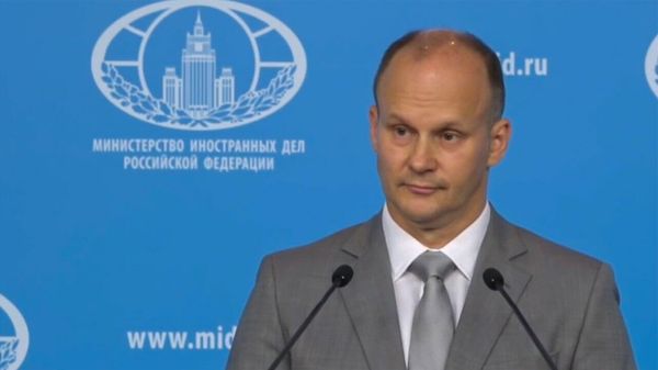 Надуманные политические мотивы: МИД РФ о запрете на въезд Бадаляна в Молдову - Sputnik Արմենիա