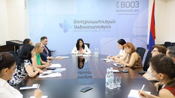 Первый замминистра здравоохранения Лена Нанушян на совещании по эпидемической ситуации в республике (16 августа 2024). Еревaн - Sputnik Армения