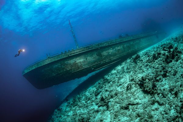 Тобиас Фридрих "Обломки судна Sea Trader недалеко от Нассау с дайвером, держащим фонарь для подводного плавания и плывущим к обломкам"Багамские острова, Карибское море, Атлантический океан - Sputnik Армения