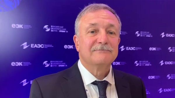 Введение единых навигационных пломб для транзита товаров по всем странам ЕАЭС - министр по таможенному сотрудничеству ЕЭК Руслан Давыдов  - Sputnik Արմենիա