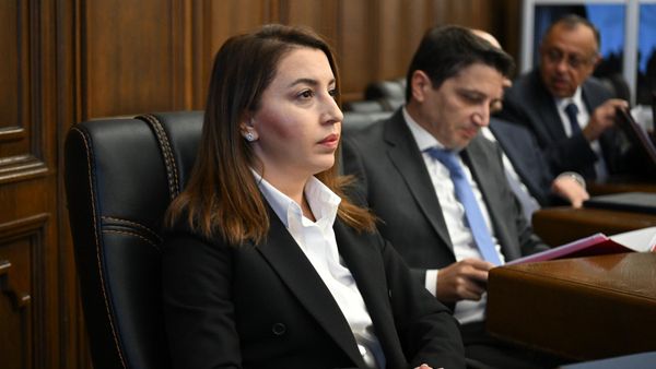 Глава Службы внешней разведки Кристине Григорян перед началом совместного заседания постоянных комиссий НС (28 октября 2024). Еревaн - Sputnik Армения