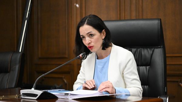Министр ОНКС Жанна Андреасян во время совместного заседания постоянных комиссий НС по обсуждению законопроекта бюджета 2025 года (29 октября 2024). Еревaн - Sputnik Армения