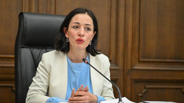 Министр ОНКС Жанна Андреасян во время совместного заседания постоянных комиссий НС по обсуждению законопроекта бюджета 2025 года (29 октября 2024). Еревaн - Sputnik Армения