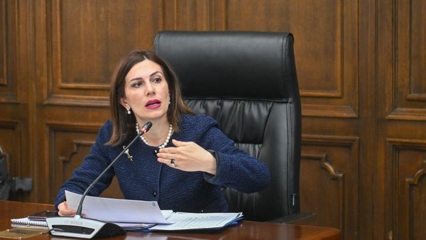 Министр здравоохранения Анаит Аванесян на предварительном обсуждении государственного бюджета в рамках совместного заседания постоянных комиссий НС (1 ноября 2024). Еревaн - Sputnik Армения