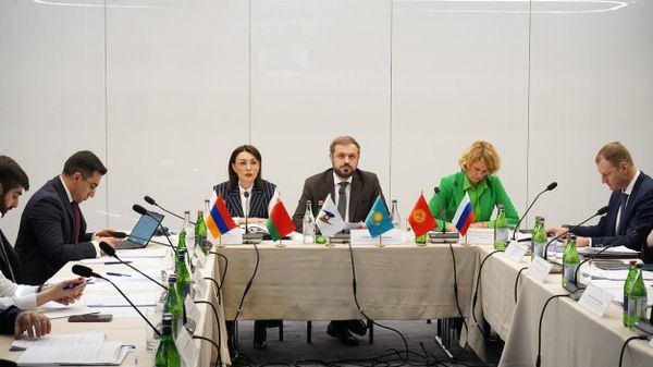 Заседание Совета по агропромышленной политике ЕАЭС (15 ноября 2024). Еревaн - Sputnik Армения