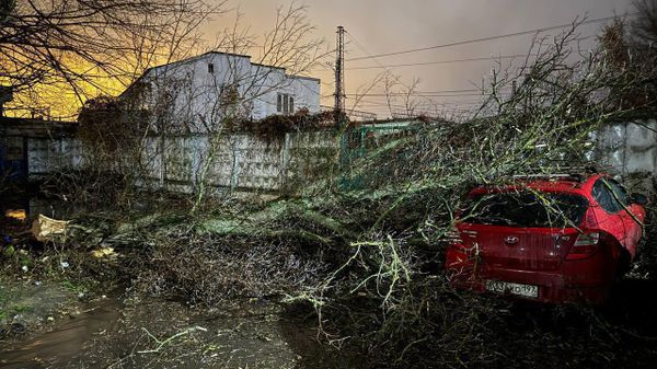 Штормовая погода в Москве и Московской области (21 ноября 2024). Москвa - Sputnik Армения