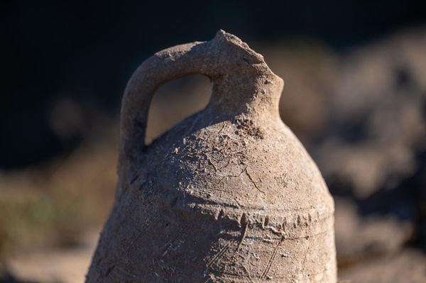 Գտածո - Sputnik Արմենիա