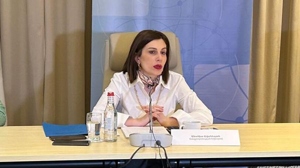Министр здравоохранения Анаит Аванесян представила результаты программ здравоохранения в 2024 году на встрече с представителями СМИ (13 декабря 2024). Еревaн - Sputnik Армения