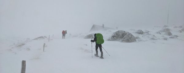 Snowshoeing Snowshoeing - Sputnik Армения
