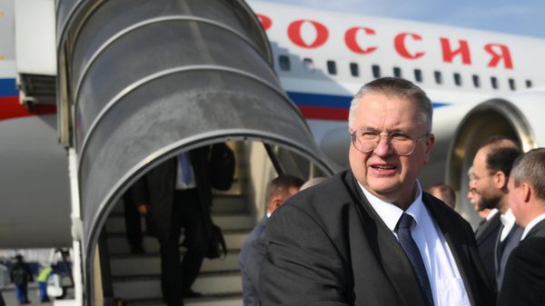 Вице-премьер РФ Алексей Оверчук на церемонии встречи в аэропорту (23 декабря 2024). Тегеран - Sputnik Армения