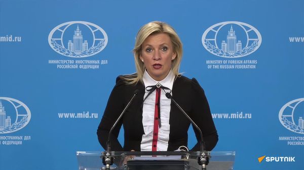 Мария Захарова во время еженедельного брифинга (25 декабря 2024). Москвa - Sputnik Армения