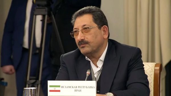 Министр промышленности, рудников и торговли Ирана Сейед Мохаммад Атабак на заседании Высшего Евразийского экономического совета (26 декабря 2024). Санкт-Петербург - Sputnik Армения