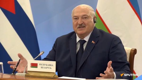 Армянская делегация примет участие на заседании Высшего Евразийского экономического совета в Беларуси в формате видеоконференции - Sputnik Армения