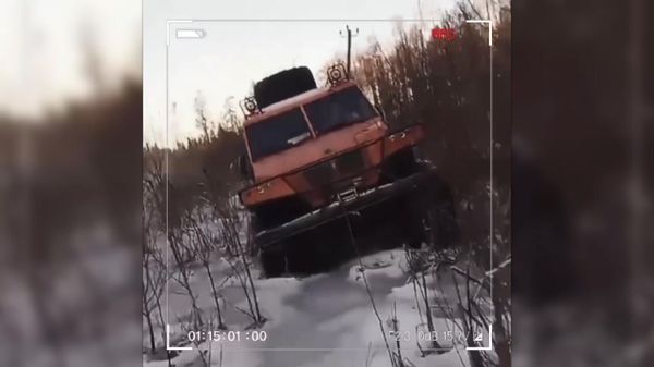 Сотрудники Россетей восстанавливают подачу электричества после метели и сильного ветра в Новгородской области - Sputnik Армения
