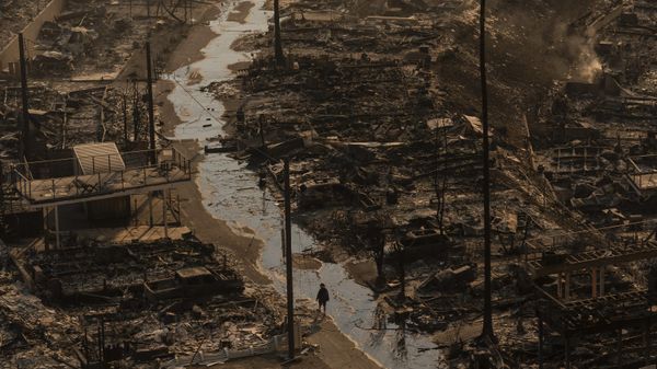 Человек проходит среди разрушений, оставленных пожаром в Палисейдсе, Лос-Анджелес - Sputnik Армения