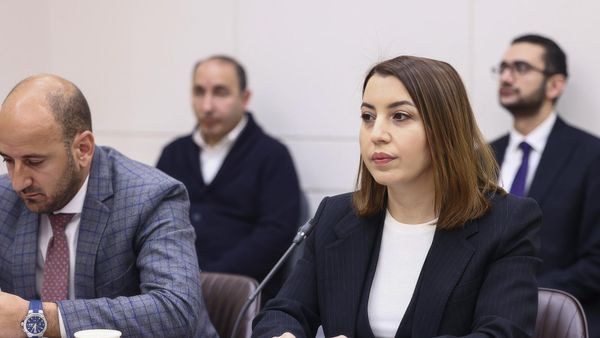 Начальник Службы внешней разведки Армении Кристинне Григорян на заседании Постоянной комиссии НС по государственно-правовым вопросам (10 января 2025). Еревaн - Sputnik Армения