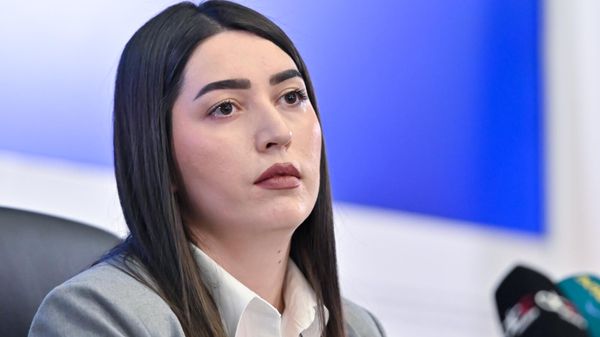 Пресс-конференция главы МВД Арпине Саркисян (16 января 2025). Еревaн - Sputnik Армения