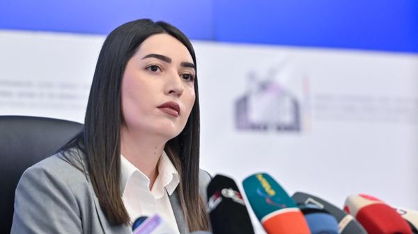 Пресс-конференция главы МВД Арпине Саркисян (16 января 2025). Еревaн - Sputnik Армения