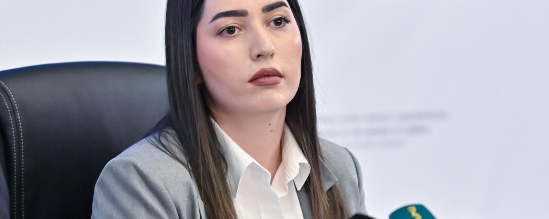 Пресс-конференция главы МВД Арпине Саркисян (16 января 2025). Еревaн - Sputnik Армения, 1920, 16.01.2025