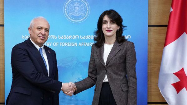 Министр иностранных дел Грузии Мака Бочоришвили приняла посла Армении Ашота Смбатяна (24 января 2025). Тбилиси - Sputnik Армения