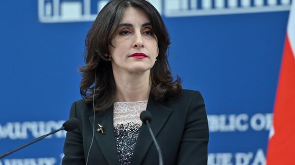 Главы МИД Армении и Грузии Арарат Мирзоян и Мака Бочоришвили на пресс-конференции по итогам встречи (30 января 2025). Еревaн - Sputnik Армения