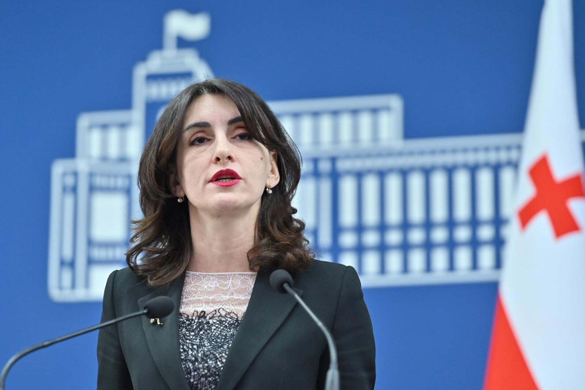 Главы МИД Армении и Грузии Арарат Мирзоян и Мака Бочоришвили на пресс-конференции по итогам встречи (30 января 2025). Еревaн - Sputnik Արմենիա, 1920, 30.01.2025