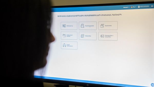 Пользователь пытается заполнить декларацию о доходах - Sputnik Армения