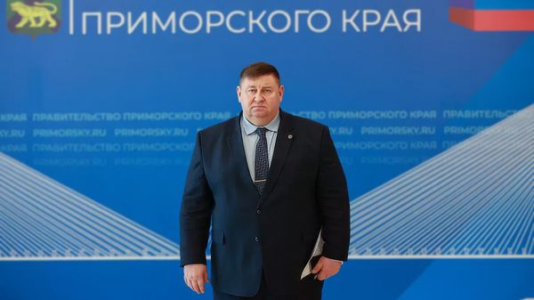 Вице-губернатор Приморского края Сергей Ефремов - Sputnik Армения