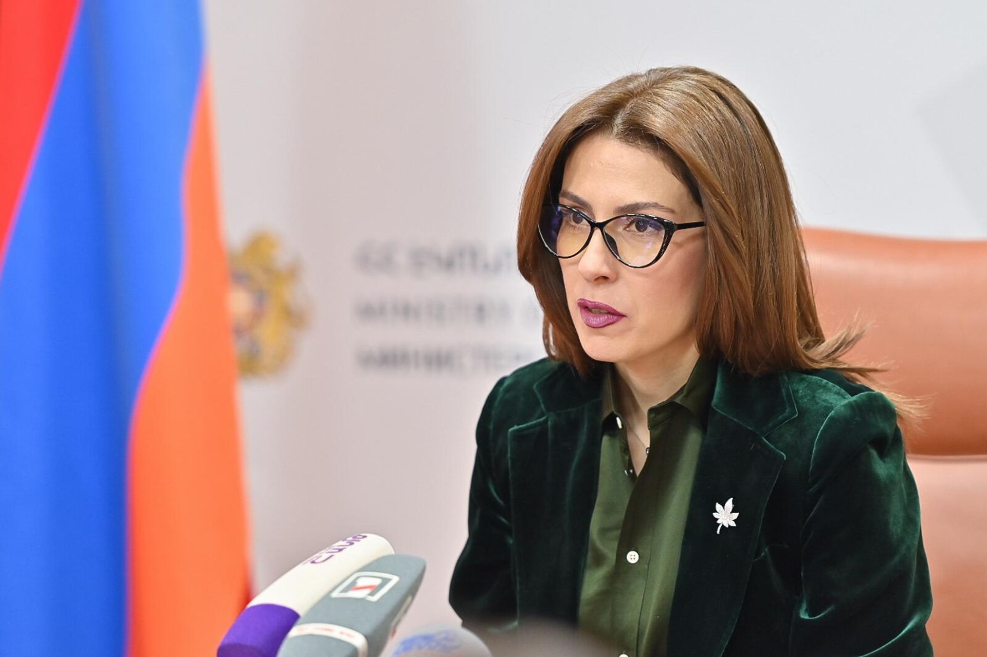 Пресс-конференция председателя Комитета по туризму Лусинэ Геворгян (7 февраля 2025). Ереван - Sputnik Արմենիա, 1920, 26.09.2025