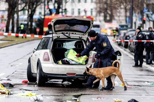 Полицейский со служебной собакой осматривает автомобиль недалеко от площади Стигльмайерплац. - Sputnik Армения